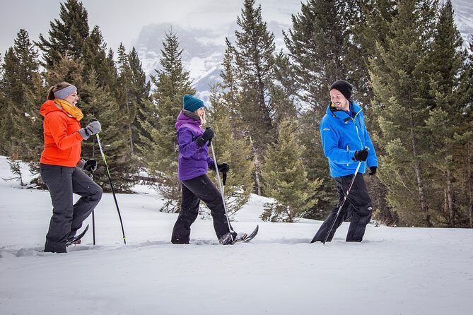 Snowshoeing Tour to the Paint Pots - What you get for $81.98: value check