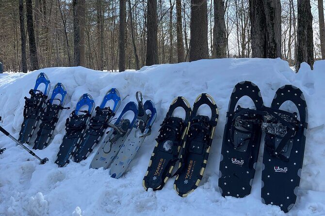 Snowshoeing with mountain goats Private activity - The campfire stop: stew, hot drinks, dessert, and stories