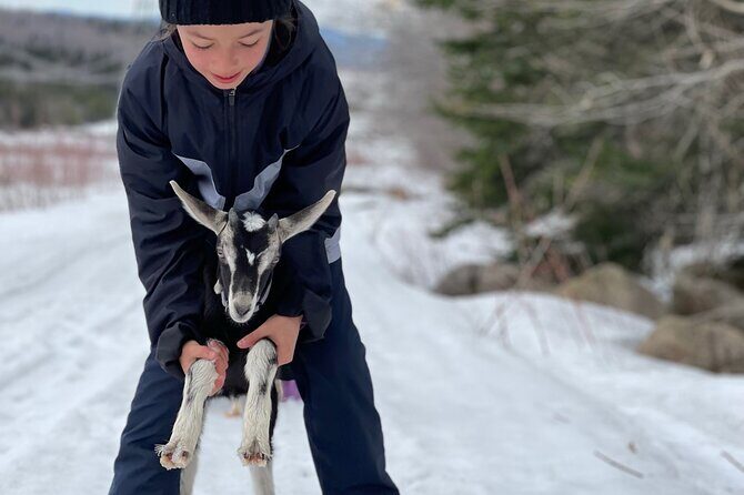 Snowshoeing with mountain goats Private activity - Timing, pace, and who this tour fits best