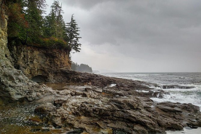 Sooke to Port Renfrew: Wild Pacific Adventure - What You’re Really Getting: A Private Sooke-to-Port Renfrew Day