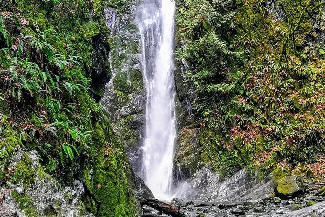 Sooke to Port Renfrew: Wild Pacific Adventure - Stop 6: Jordan River Photo Break in Juan de Fuca Provincial Park