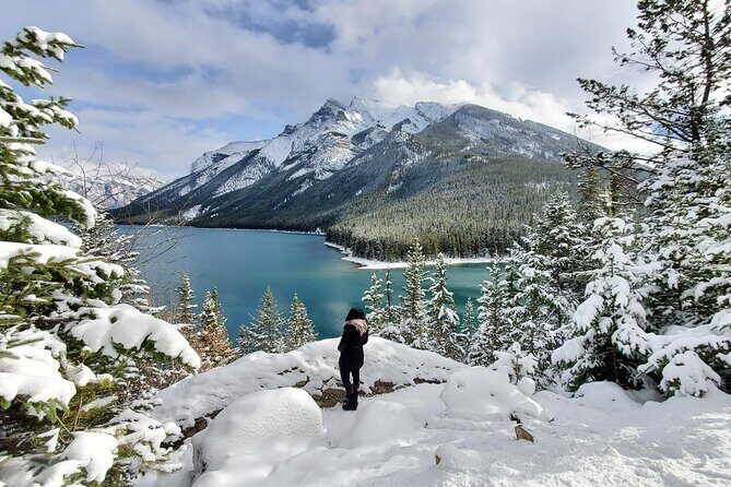 Spectacular Banff Day - Gondola Included - Gondola to Sulphur Mountain: The Shortcut to 360 Views