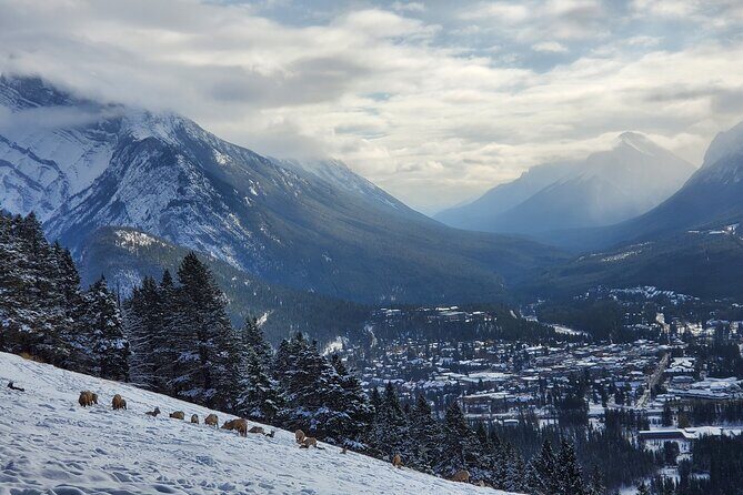 Spectacular Banff Day - Gondola Included - Bow Falls and Banff Avenue: Quick Stops That Actually Feel Useful