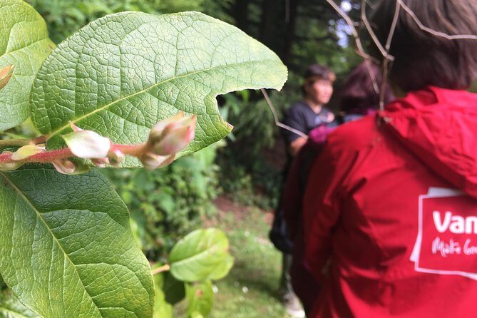 Spoken Treasures: Stanley Park Indigenous Walking Tour - Group size, guide style, and why names matter