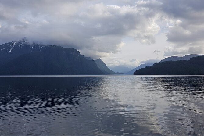 Spring Bears and Whales Tour in Campbell River - Bear chances in spring: what you’re really looking for