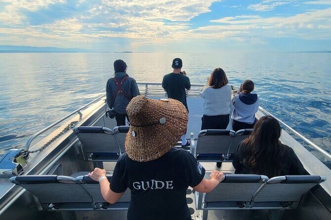 Spring Bears and Whales Tour in Campbell River - Lunch on the water: simple, satisfying, and actually filling