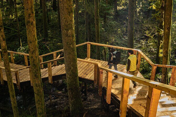 Squamish Canyon - The forest lounge and mid-walk cafe stop