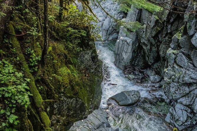 Squamish Canyon - Value check: is $27.46 worth it for a 1–2 hour walk?