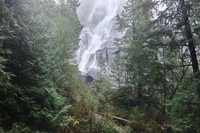 Squamish Howe Sound Explorer Private Tour - Shannon Falls Provincial Park and the winter eagle window