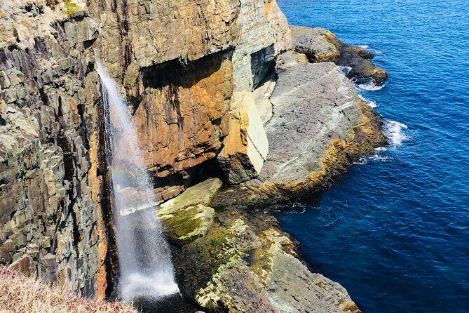St. John's Coastal Hike with Top Local Guide Deneen - Key points worth knowing before you go