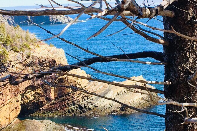 St. John's Coastal Hike with Top Local Guide Deneen - Value check: is $103.81 worth it?