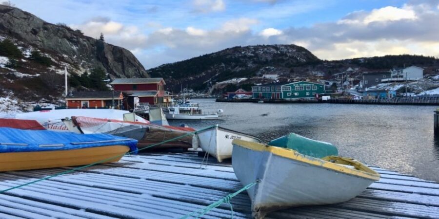 St Johns Premium Tour with Iceberg Quest Boat Cruise - Iceberg Quest Cruise: Ancient ice and humpback whales from the water