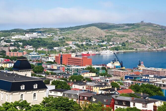 St. John's, Quidi Vidi Village & Signal Hill Small Group Tour - Key highlights at a glance