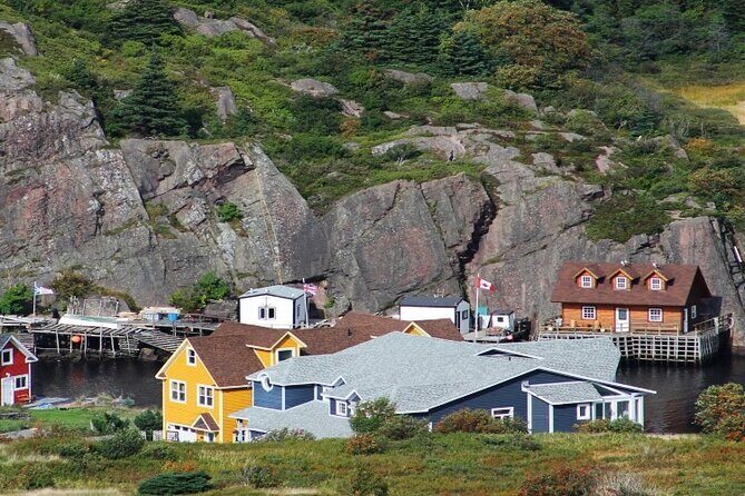 St. John's, Quidi Vidi Village & Signal Hill Small Group Tour - Who Should Book This Small-Group St. John’s Tour