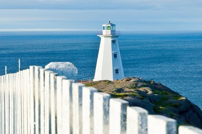 St. John’s Small Group Tour with Iceberg Quest Boat Cruise - Weather reality check: your best odds for whales and ice