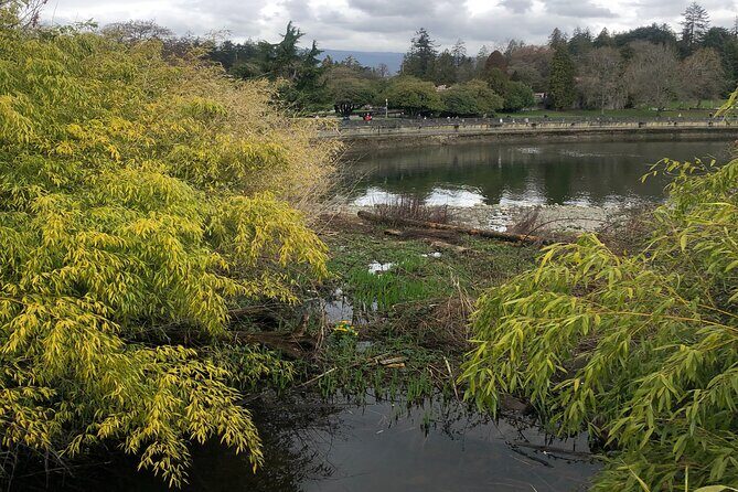 Stanley Park Bike Adventure with Lux Car Pick Up Affordable Easy - Dead Island to Siwash Rock, plus the Second and Third Beaches