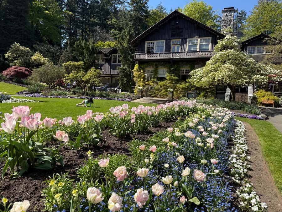 Stanley Park CarTour:SmallGroup/Comfort&CheaperThan BikeTour - Port views, Brockton Point Lighthouse, and the Martin & Wetsuit Woman statues