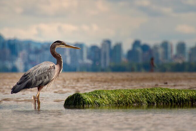 Stanley Park Self Guided Bike Tour - Lions Gate Bridge views: short, dramatic payoff