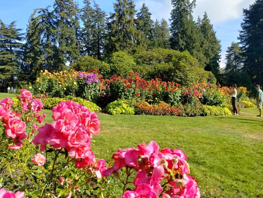 Stanley Park Tour by Car:Small Group Value,See More,Pay Less - Rose Garden and the Pavilion gardens: pretty, but also purposeful