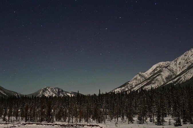 Stargazing Tour - Kananaskis After Dark - The Moonlit Snowshoe Hike Through Kananaskis Forest