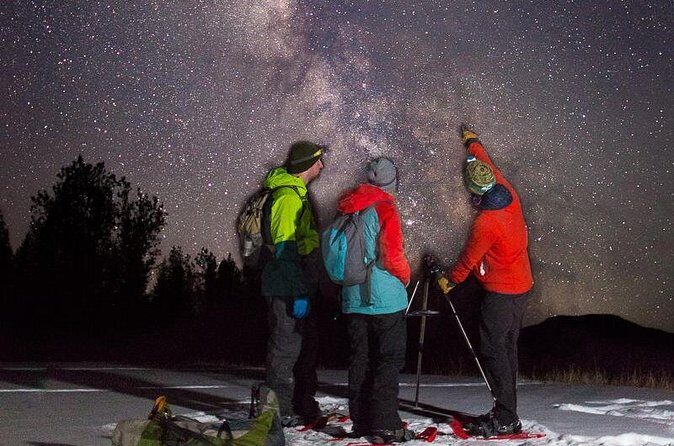 Stargazing Tour - Kananaskis After Dark - Cameras, Tripods, and Simple Stargazing Tips That Actually Help