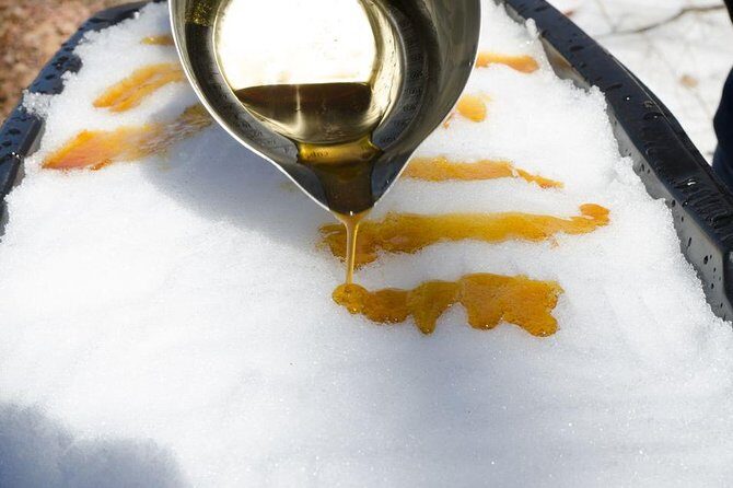 Sugar Shack (Feb to May) Maple Syrup Private Day Tour with lunch from Montreal - Key things to know before you go