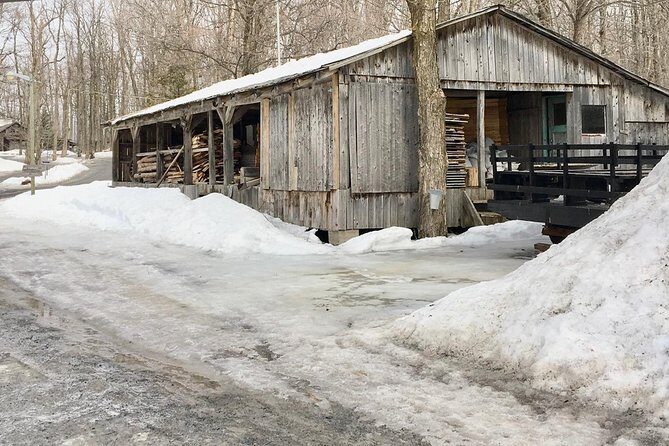 Sugar Shack (Feb to May) Maple Syrup Private Day Tour with lunch from Montreal - A Private Cabane à Sucre Day That Explains Maple, Not Just Sells It