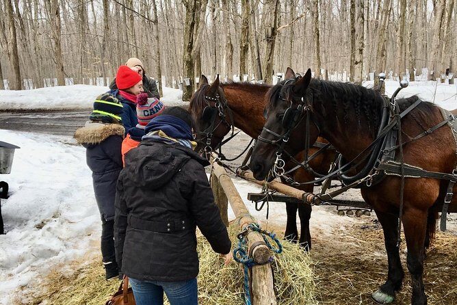 Sugar Shack (Feb to May) Maple Syrup Private Day Tour with lunch from Montreal - Maple Taffy and Syrup Tastings You’ll Want to Actually Remember