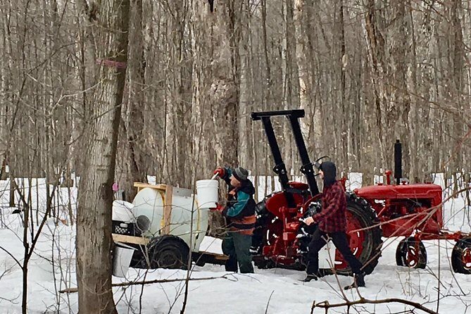 Sugar Shack (Feb to May) Maple Syrup Private Day Tour with lunch from Montreal - Guide Style Matters: Learn More Than You Expected