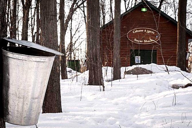 Sugar Shack (Feb to May) Maple Syrup Private Day Tour with lunch from Montreal - Lunch That Feels Like the Main Event (Not an Afterthought)
