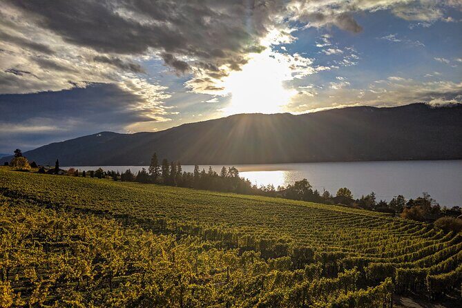 Sunset Sip Wine Tour - Mt. Boucherie Estate Winery and The Modest Butcher: views plus a meal that can be a splurge