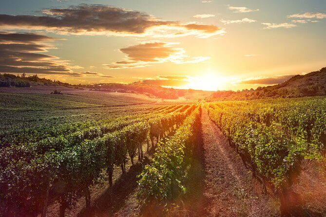 Sunset Sip Wine Tour - Price and value: what $119.34 buys you (and what you pay extra for)