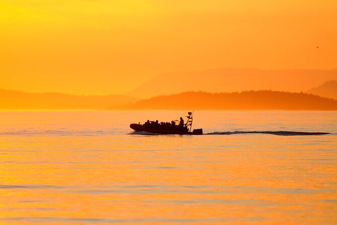Sunset Whale and Wildlife Adventure in Cowichan Bay - The boat setup: fast ride, warm gear, and why it matters