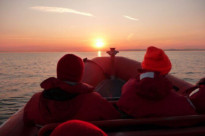 Sunset Zodiac Tour - Guides and captains: instruction that turns sightings into stories