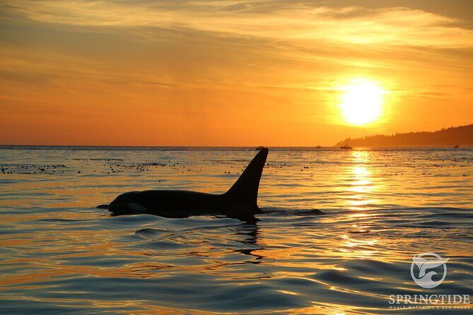Sunset Zodiac Tour - Where you start in Victoria: 1119 Wharf St, and what that means