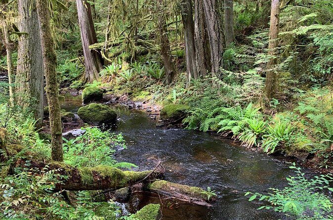 Sunshine Coast Escape (Around Vancouver) Small Group Tour - Roberts Creek and Davis Bay Beach: easy strolling along the water