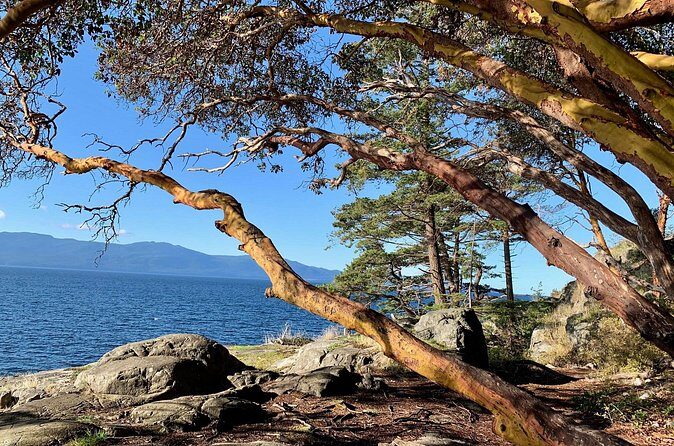 Sunshine Coast Escape (Around Vancouver) Small Group Tour - Price and value: does $160.61 make sense?