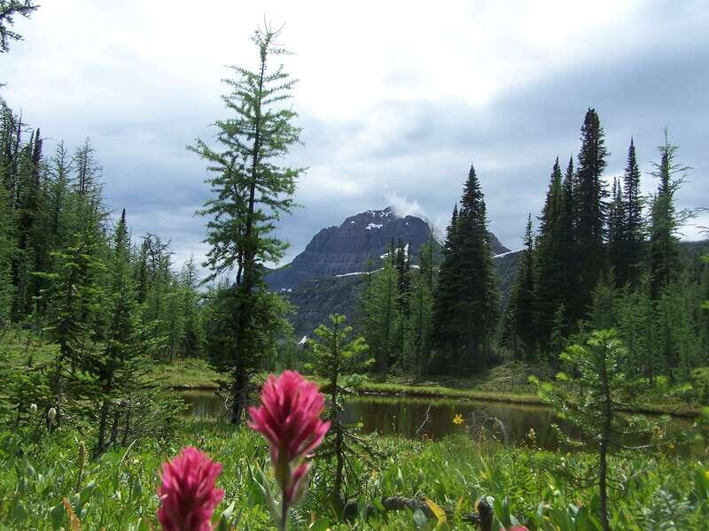 Sunshine Meadows Daily Guided Hike with Gondola - The Banff pickup and small-group rhythm (8:20 start)