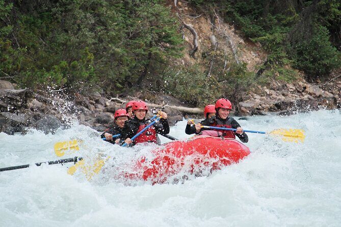Sunwapta Challenge Whitewater Rafting: Class III Rapids - Wildlife spotting: the best kind of interruption
