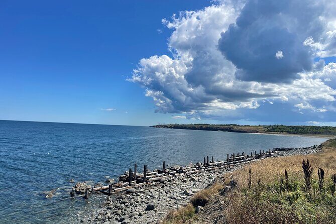 Sydney City & Coastline Tour - Polar Bear Beach: A Calm Stretch for Footsteps and Sea Air