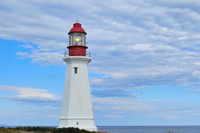 Sydney City & Coastline Tour - Open Hearth Park: Where the Steel Past Turns Into Walkways