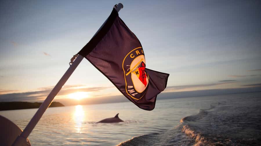 Tadoussac/Charlevoix: Whale & Fjord Morning or Twilight Tour - Key things to know before you go