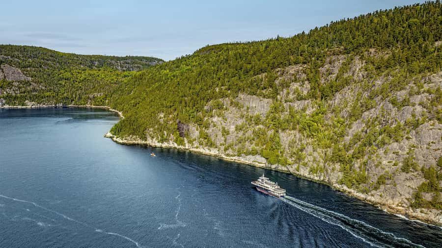 Tadoussac/Charlevoix: Whale & Fjord Morning or Twilight Tour - Whale watching on purpose: species, behavior, and what you should expect