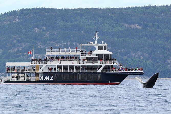 Tadoussac/Charlevoix: Whale Watching Tour - Quick Hits Before You Book (Tadoussac vs Baie-Ste-Catherine and Boat vs Zodiac)