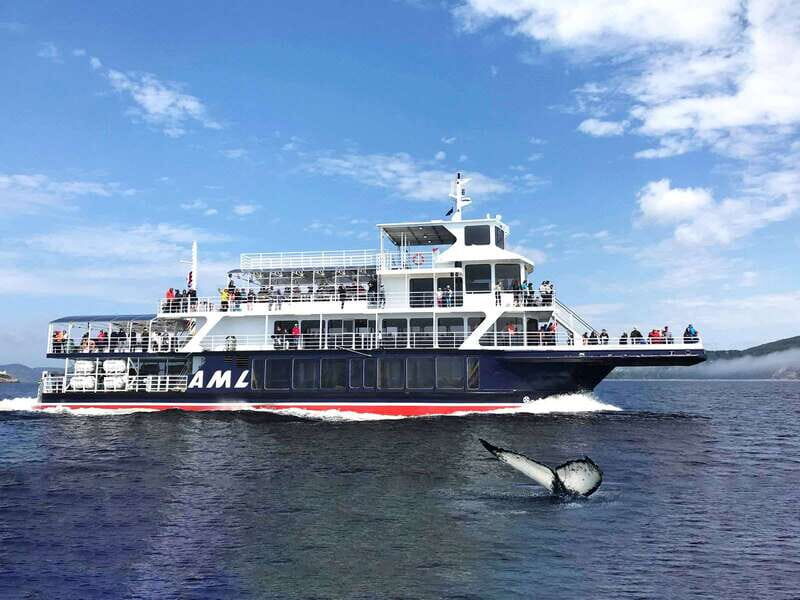Tadoussac/Charlevoix: Whale Watching Tour & Bear Observation - Logistics that can make or break the day