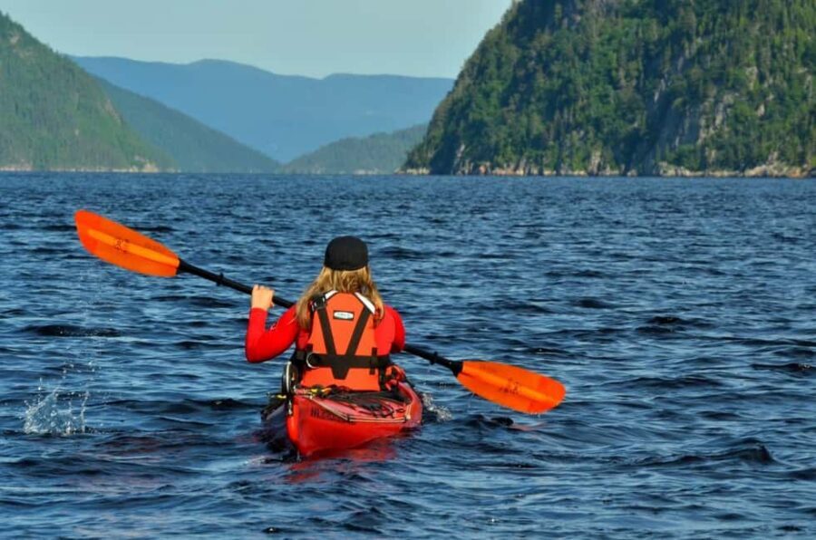 Tadoussac: Guided Sea Kayaking Adventure - Tadoussac and the Saguenay Fjord: Why This Paddle Works