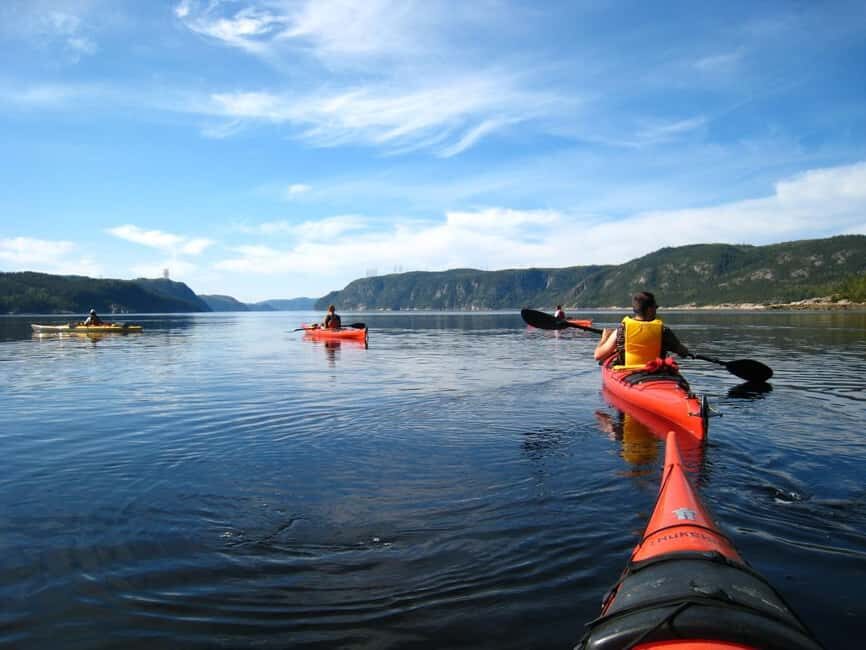 Tadoussac: Guided Sea Kayaking Adventure - The Provider: Ferme 5 etoiles and a Professional Setup