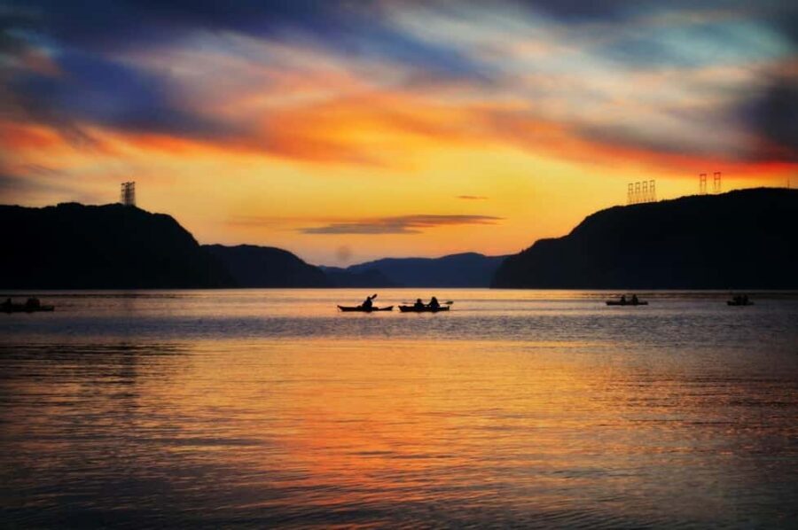 Tadoussac: Guided Sea Kayaking Adventure - Meeting at 334 Chemin de l’Anse-de-Roche (and Getting Ready Fast)