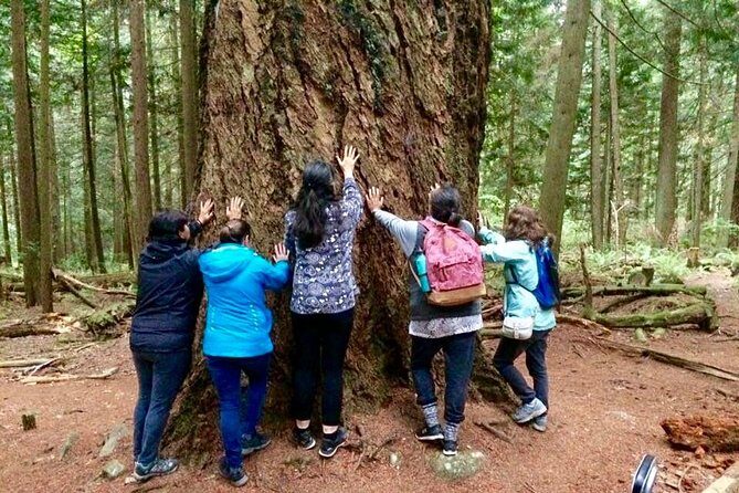 Talking Trees: Stanley Park Indigenous Walking Tour Led by a First Nations Guide - Stop by stop: what each part of the tour actually feels like