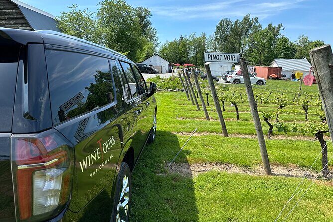 Taste of the Valley Private Wine Tour - Key highlights you’ll feel from start to finish